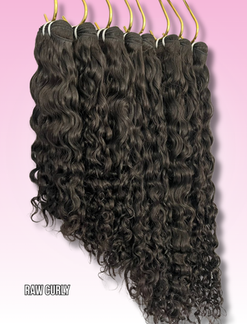 Burmese Curly 4 Bundle Deals